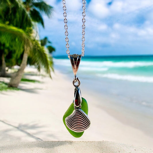 Beautiful Green Devon sea glass, shell charm pendant necklace, presented on an 20 inch 925 sterling silver chain with a lobster clasp