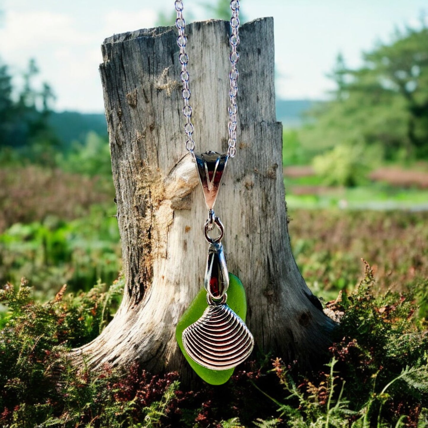 Beautiful Green Devon sea glass, shell charm pendant necklace, presented on an 20 inch 925 sterling silver chain with a lobster clasp